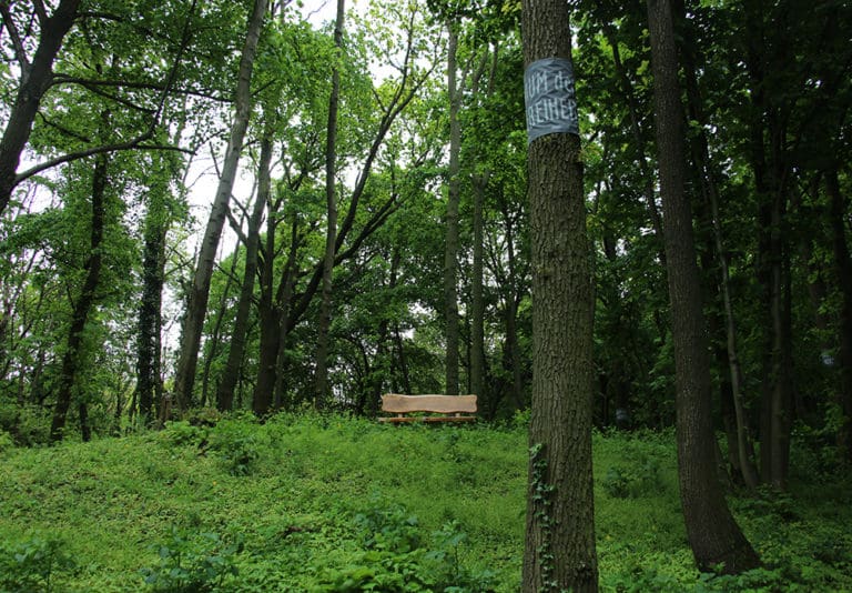 Baumbestattung Wald der Ewigkeit Wald der Ewigkeit